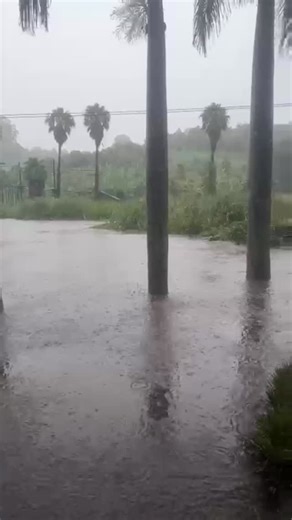 Mac Banana™ on Instagram: "WE ARE OPEN Please see below for what to expect today, 22 December 2025. Good morning everyone 🌿 We want to be completely transparent and share what happened at Mac Banana last night due to the KZN floods. We experienced flooding on the property and have been working through the night and this morning to manage the situation. The good news is that everything has been handled quickly and most importantly, all of our animals are safe, sheltered, and well cared for. Our