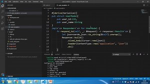 Rust web开发基础入门(5):自定义结构的JSON输出
