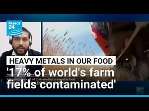 Industry contamination of soil with toxic metals exposes failure to translate science into policy