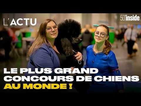 These French people are conquering the world's biggest dog show 🐾 | 50'Inside | News