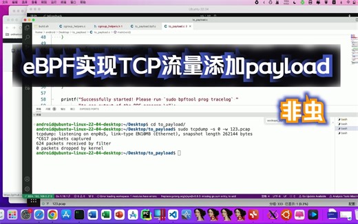 使用eBPF实现TCP流量添加payload