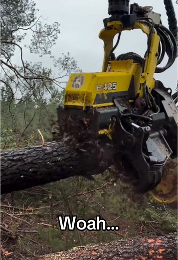 Real Life Transformers: Fascinating Machine Transformations
