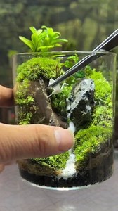 Everyone needs a small peaceful corner in life—so why not create one? In this video, I show you how to design a charming terrarium using simple materials. This tiny landscape brings beauty, calmness, and creativity into any space. Try it yourself and bring nature closer to your home. 🌿💚#Terrarium #DIY #Plants #MiniWorld #Viral #Trending #Crafts #HomeDecor #Creative #GreenLife #TerrariumDesign #GlassGarden #ASMR #plantdecor #naturelovers #handmadeart #SmallGarden #usahandmade #USANature | The i