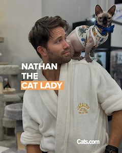 This guy rescued three stray cats, and they inspired him to change his life and dedicate it to helping the world of cats 😻 | Cats.com