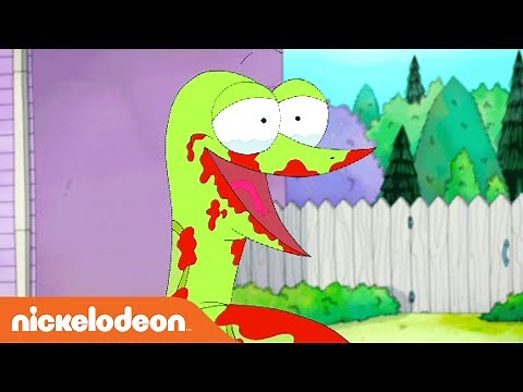 Sanjay and Craig | Real Snake vs. Craig | Nick