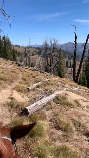 Cody Calhoun on Reels