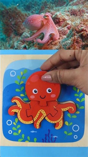 Octopus Puzzle | Sea Animals | Down In The Deep Blue Sea #supersimplesongs #toddlerlearning #shorts