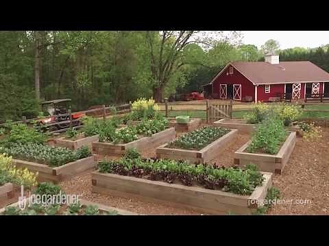Best Soil Recipe for Raised Beds