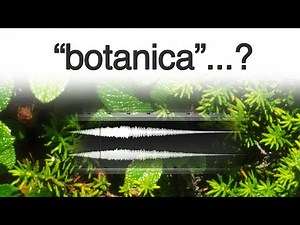 Botanicaという音楽ジャンルについてざっくりと...(2024/10/5追記)