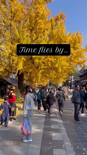 Post-menopausal women: what have you found that helps with insomnia, night sweats, and leg cramps? I still have lots of years to keep driving and want to be strong and well rested! #menopause #insomnia #rested The Pause Life by Dr. Mary Claire Haver | Kerynne Porter Vance