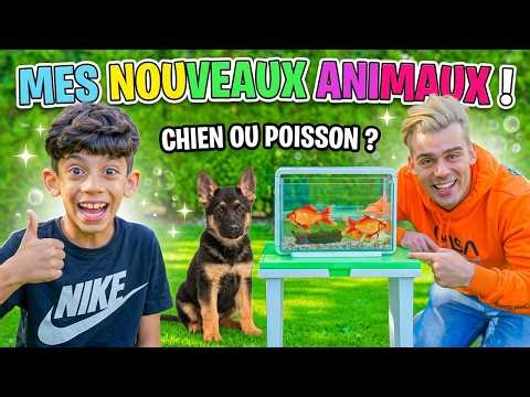 Jason et ses nouveaux animaux de compagnie ! | Chaîne pour enfants | YouTube Kids