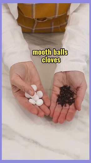 2.5K views · 18 reactions | Home remedies for insect repelant and air freshner# | Kleen DIY Projects&Creative Tips by Ingrid | Facebook