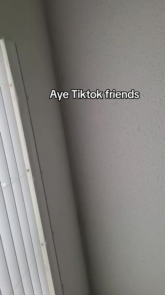 Funny Scene from Big Stan (2007)