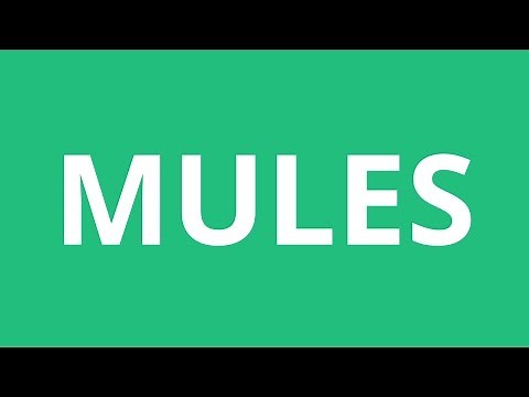 How To Pronounce Mules - Pronunciation Academy