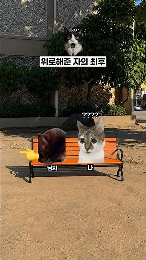 위로해준 자의 최후 🫟