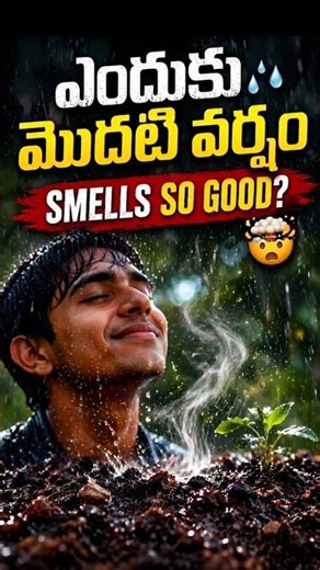 Why First Rain Smells So Good 🤯 | Hidden Science Revealed! #rain #geosmin #whatif