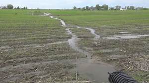 SBA disaster loans available in 7 counties following excessive rain, flooding earlier this year