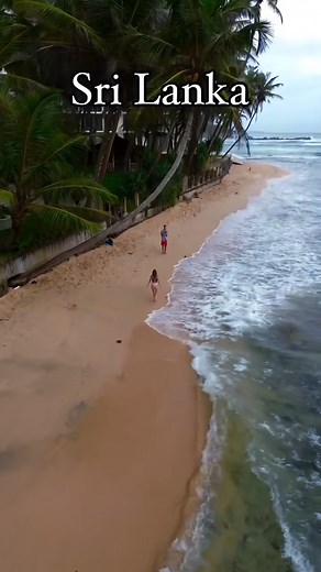 Sri Lanka has breathtaking landscapes ranging from golden beaches and lush tea plantations to misty mountains and dense jungles. T video credit - @xemotionss #SriLanka #breathtaking #landscapes #beaches #teaplantations #mountains #reels | Look Lanka
