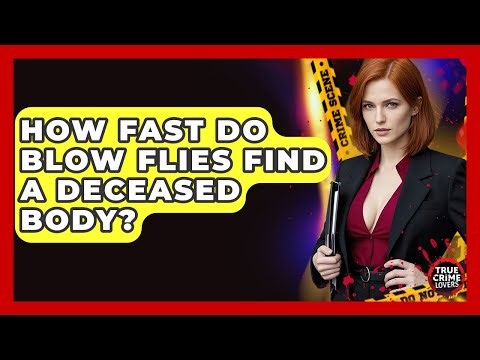 How Fast Do Blow Flies Find A Deceased Body? - True Crime Lovers