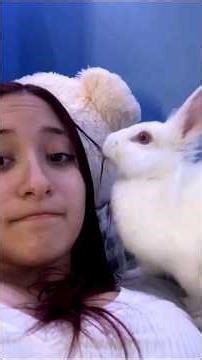 Funny Bunny Moments That Will Make You Laugh