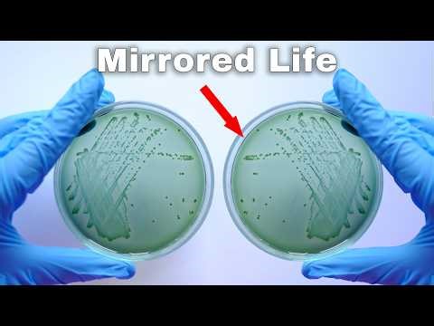 This Weird Property of Light Might Explain Life Itself