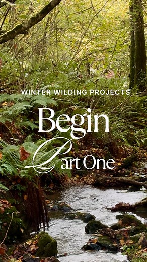 5 comments | Wilding projects part 1 Winter/Autumn at Rudge Farm...