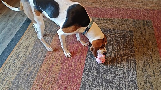 I love this little piggy! I might have to get an entire barnyard for Cooper. Lol | Tanya Edger