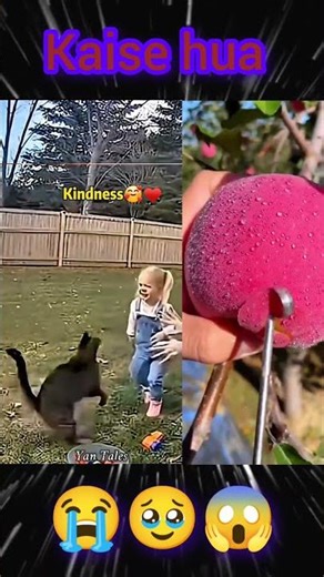 Kindness Can Appear Anywhere ❤️ #tepukkartu