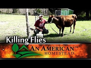 Farm Fly Traps That Work EVERY YEAR!