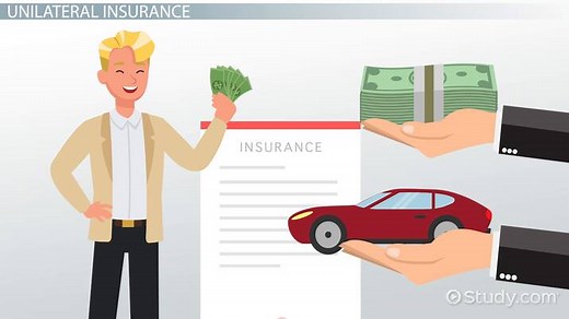 Insurance Contracts | Definition & Characteristics
