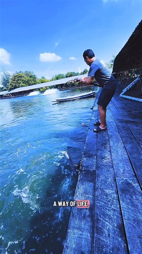 Amazing Big Fish Catching #fishing #rodfishing #bigfishcatch #fishingvideo #viralshorts #shorts