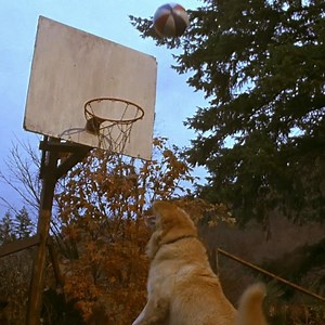 16 reactions | Our content & characters celebrate important themes...