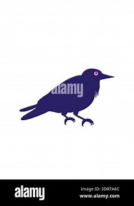 blinking radial lines animation of crow cartoon Stock Video Footage - Alamy