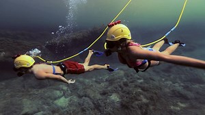 8.8K views · 152 reactions | Discover the greatness of cenotes in Xel-Há with this adventure!  https://goo.gl/QuCVLP | Xel-Ha | Facebook