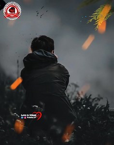 385K views · 14K reactions | This Song | Love is Silent Painful S" | Facebook