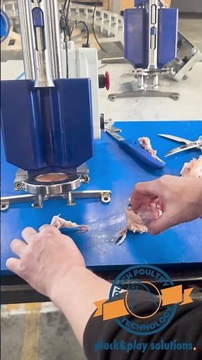 Deboning a drum-stick