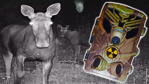 ☢️What was captured with camera traps in Chernobyl ⁄ Hidden Pripyat life ☢️ Catching vandals