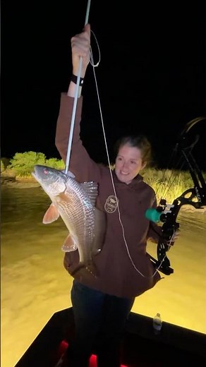 Bowfishing redfish in Louisiana with Muzzy Deviants! #archery #louisiana #fishing