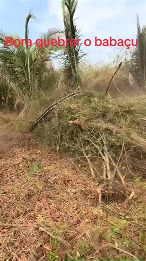 Expert Excavator Operator Tips for Efficient Digging