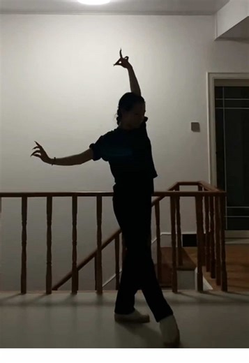 Captivating Begonia Flowers at Dawn