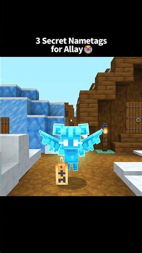 Minecraft: Actions & Stuff Allay Nametags