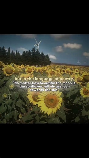 But..#edit #fyp #yt #viralvideo #shortvideo #trending #explore #aesthetic #swan #viral #video #trend