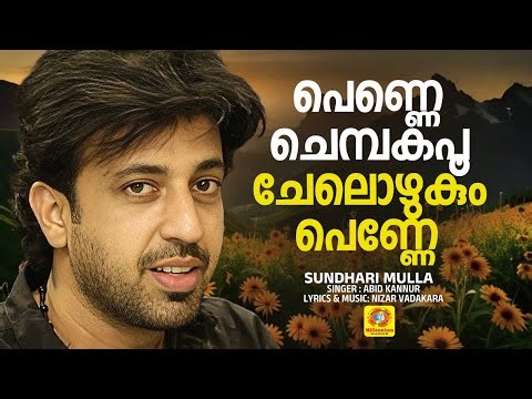 പെണ്ണെ ചെമ്പകപൂചേലൊഴുകും പെണ്ണേ | Penne Chembakapoo | Album Song | Sundhari Mulla | Ronson | Abid