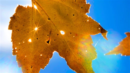 Wisconsin fall colors update: It's beginning in the Northwoods