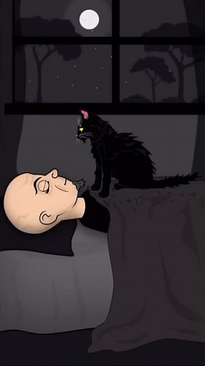 Nine inch tail… in the style of @nineinchnails #cat #animal #rock #music #nineinchnails #nineinchtails #filthy #funny #fyp #catmemes #catlife #catsofinstagram | Kendra Golden