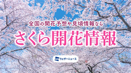 桜・お花見動画【2026】- ウェザーニュース - ウェザーニュース