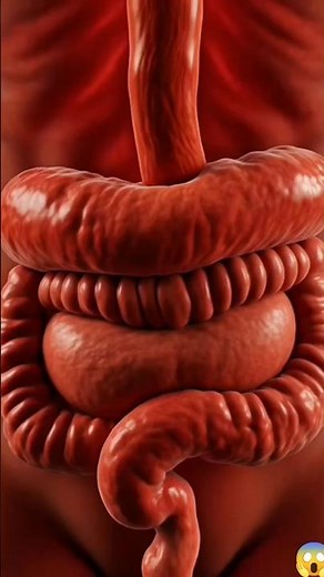 Digestive System Animation | How Food Travels Through Your Body | AI Anatomy Illustration