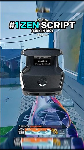 The BEST Zen Script For COD