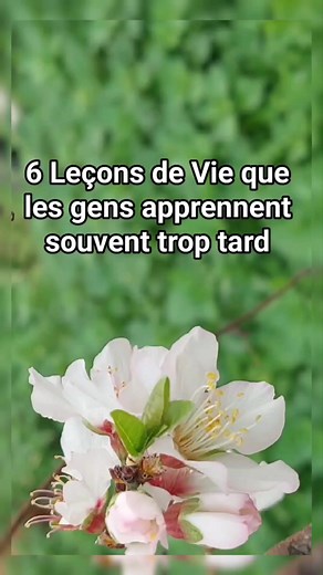 6 Leçons de Vie que les gens apprennent souvent trop tard .. Pensées Positives | Pensées Positives