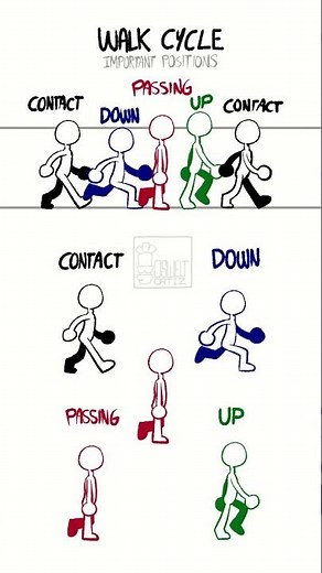 Walk Cycles Important Positions #2danimation #animation #walkcycle
